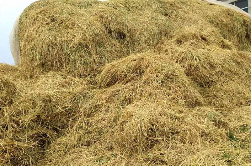 秸稈能做炭？秸稈炭化能做什么？秸稈連續(xù)式炭化爐前景如何？