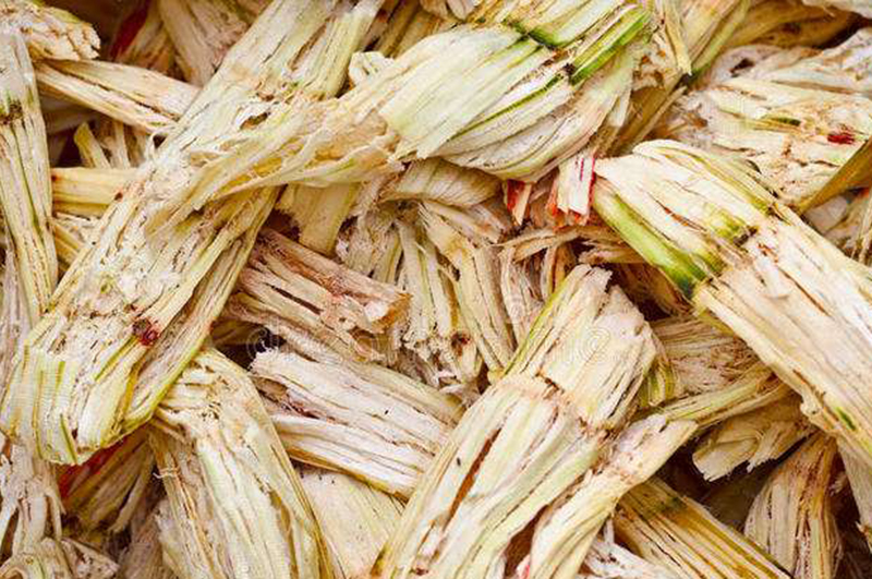 糖廠廢料甘蔗渣都有哪些用途呢？