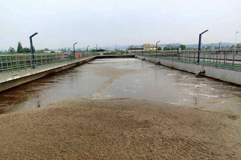 城市生活污泥處理工程成本高嗎，能有利潤嗎？