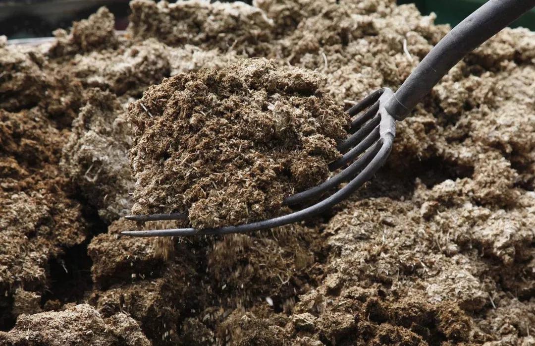 動(dòng)物糞便碳化處理