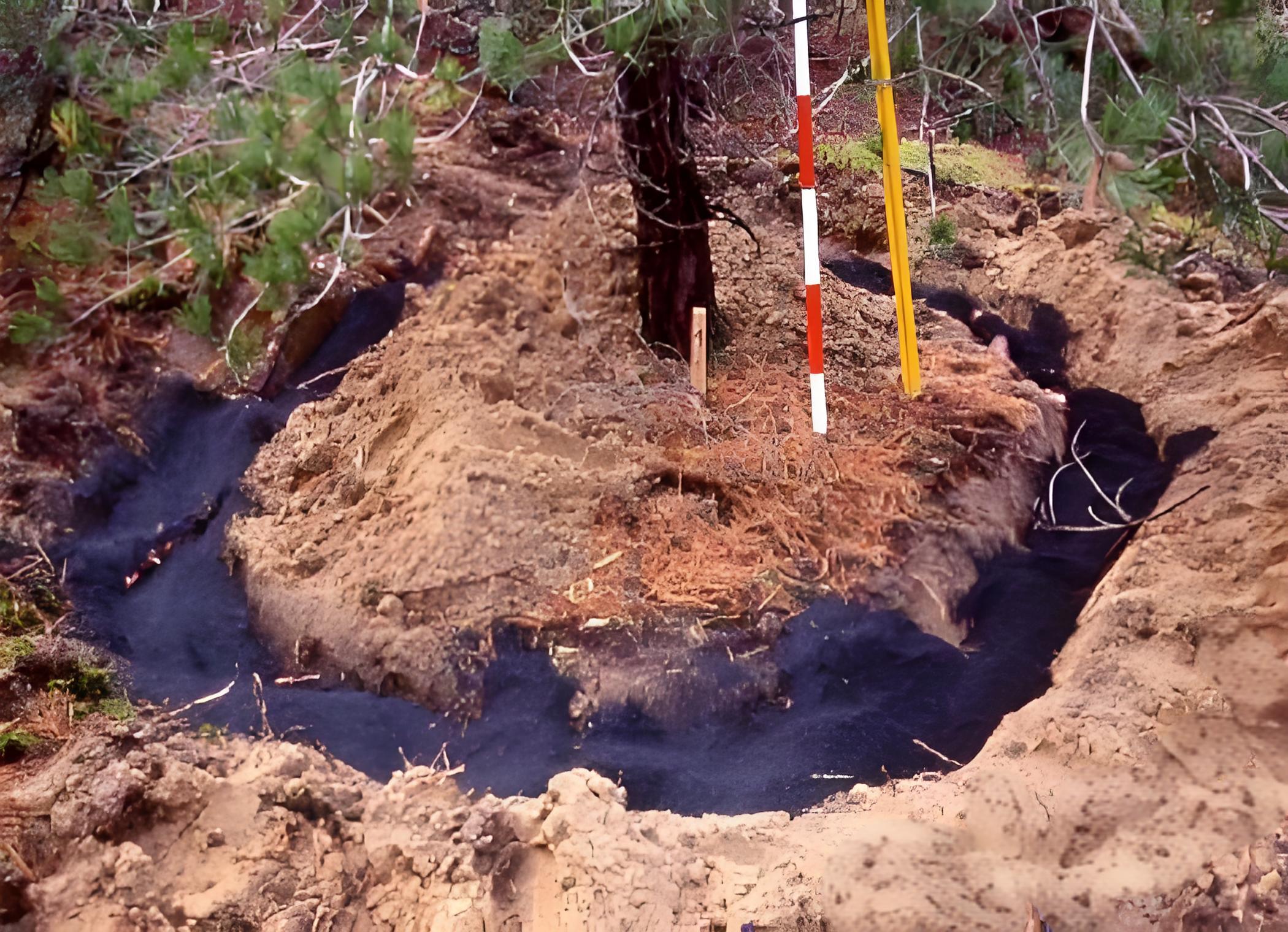 <strong>生物質(zhì)炭化爐制作活性炭，用于土壤改良</strong>