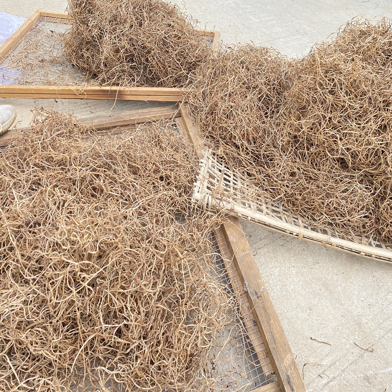 <strong>瓜秧的新價(jià)值：變身生物質(zhì)碳</strong>