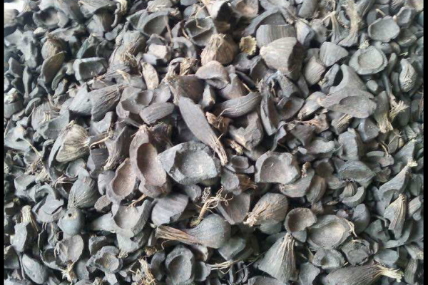 生物質(zhì)原料熱解過程的奧秘