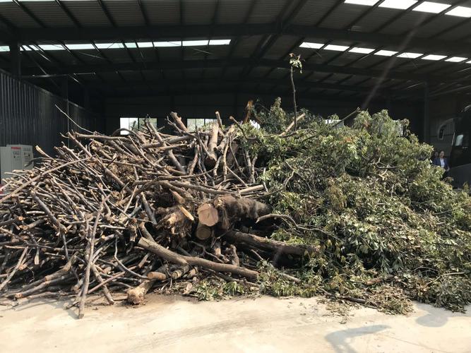 <strong>園林修剪殘枝敗葉的華麗轉(zhuǎn)身：連續(xù)式炭化爐的綠色實(shí)踐</strong>